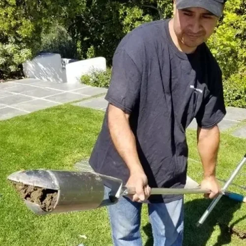 rs=w_370,cg_true,m (5)